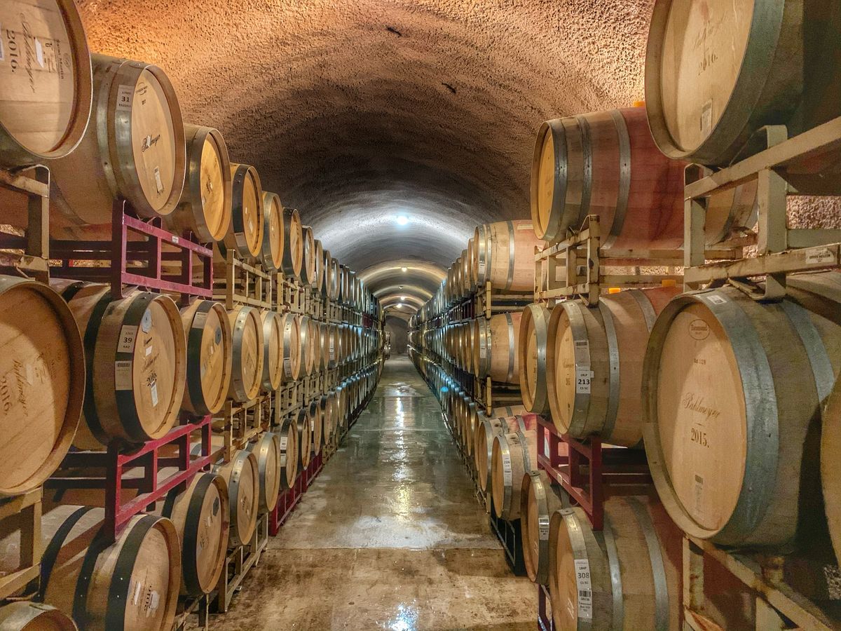 A cellar filled with wine barrels