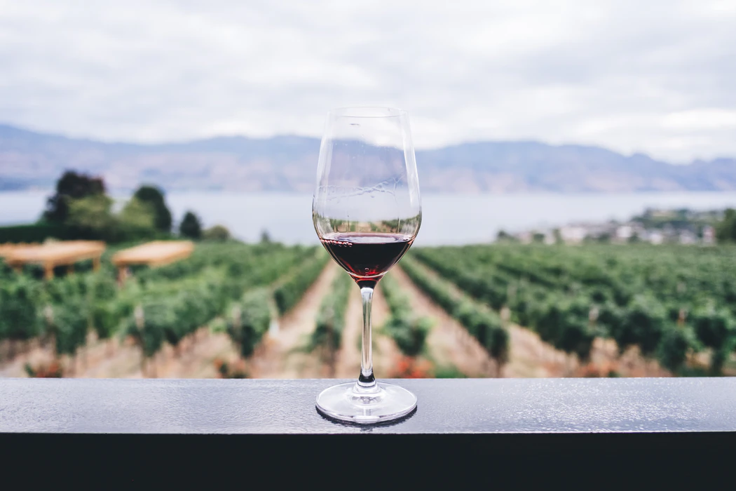 A wine glass in front of a vineyard 