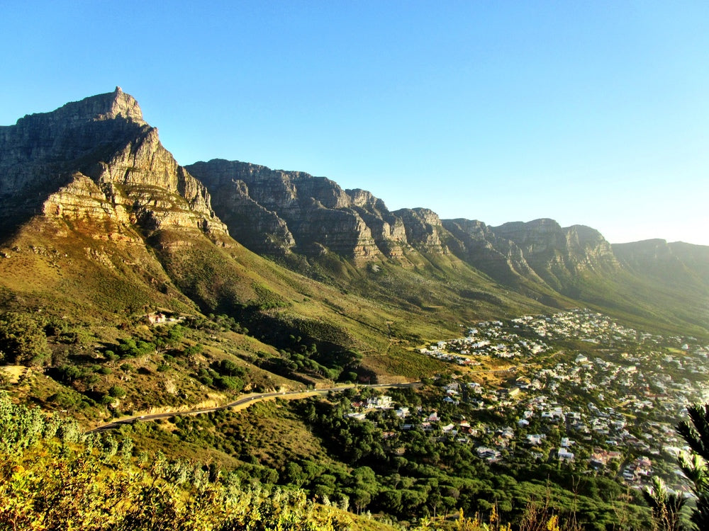 South African Wine Country: An Regional Overview