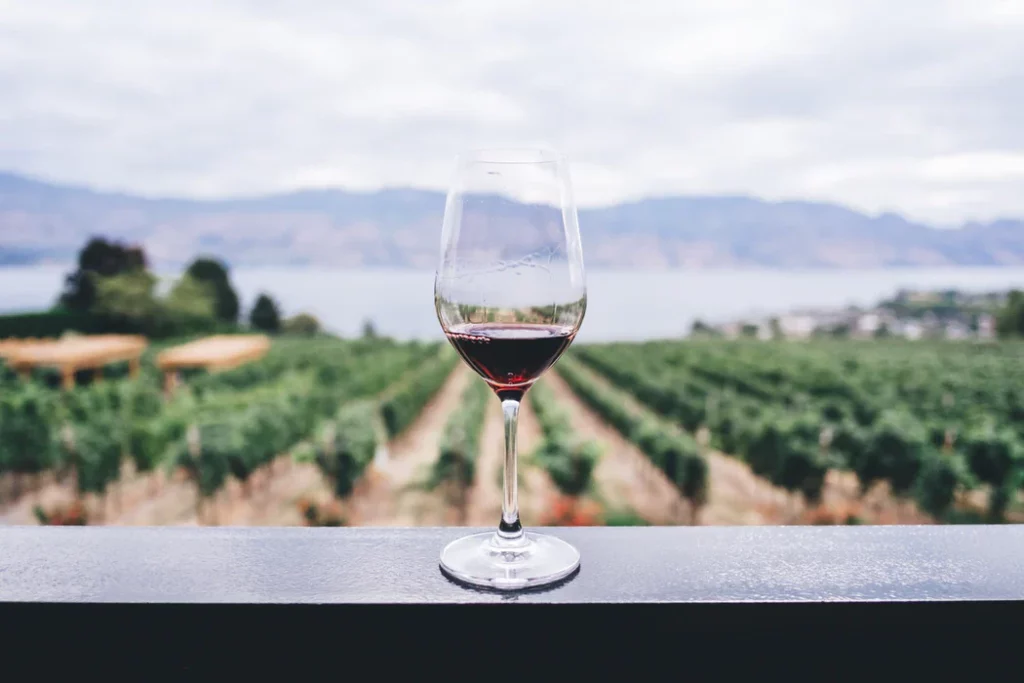 How To Pack Wine Glasses featured image